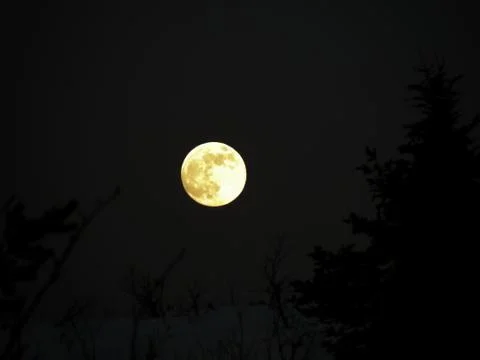 The moon in the night of summer Stock Photos