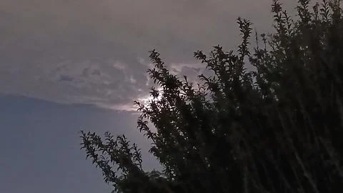 Moon or Sun Hidden Behind Evening Clouds and Trees 스톡 사진