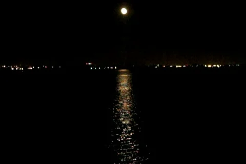 Moon Over Bay At Night  #2 Stock Footage 710336