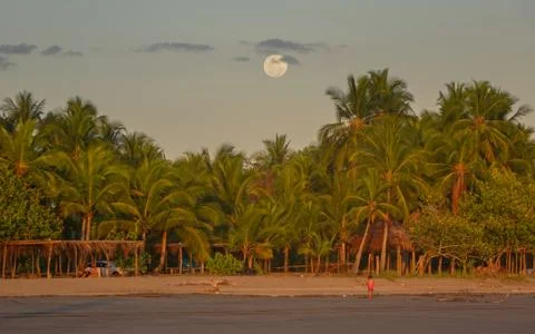 Moon over the beach at a sunset Stock Photos