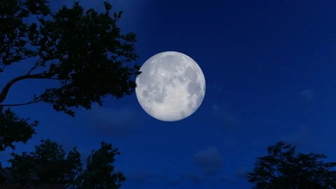 The moon over the eaves and treetops at night Stock Footage 288284863