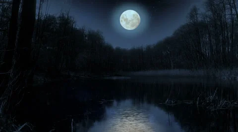 Moon over the lake at night. Stock Footage