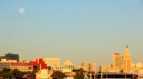 Moon over Miami Video stock 1049163