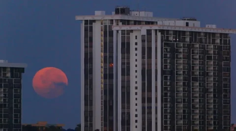 Moon over Miami Stock-Footage 1068031