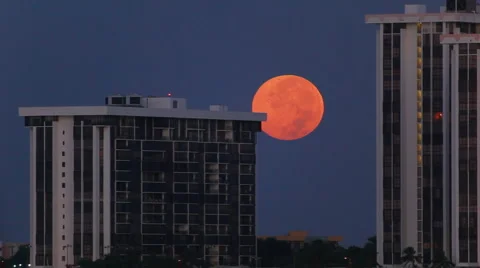 Moon over Miami 스톡 동영상 1068111