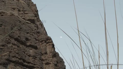 Moon over mountains in the valley Stock Footage 130959043