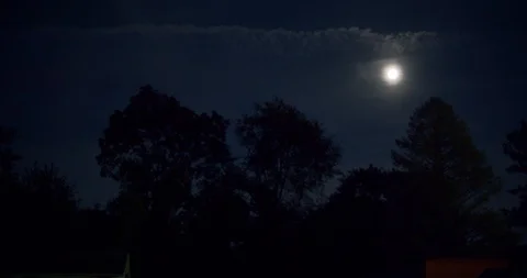 Moon Over Silhouette of Trees on Cloudy Night Stock Footage 128323837
