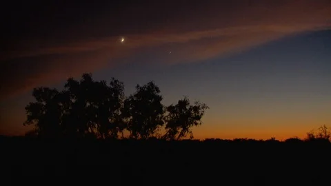 Moon over Trees at Sundown Video stock 106892983