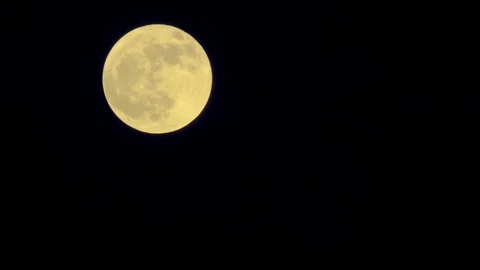 The moon pavilioned in dark clouds at black windy night sky Stock Footage 100228780