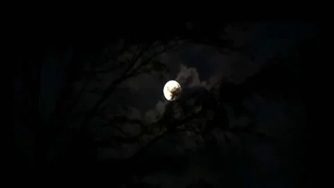 Moon peeking through the clouds at night Stock Footage 235135685