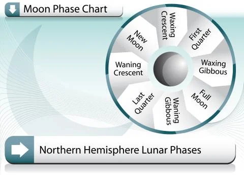 Moon phase chart Stock Illustration