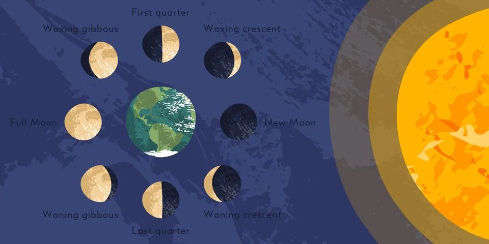 Moon phase, lunar cycle, synodic month. Lunary visible side. New and full moo Stock Illustration