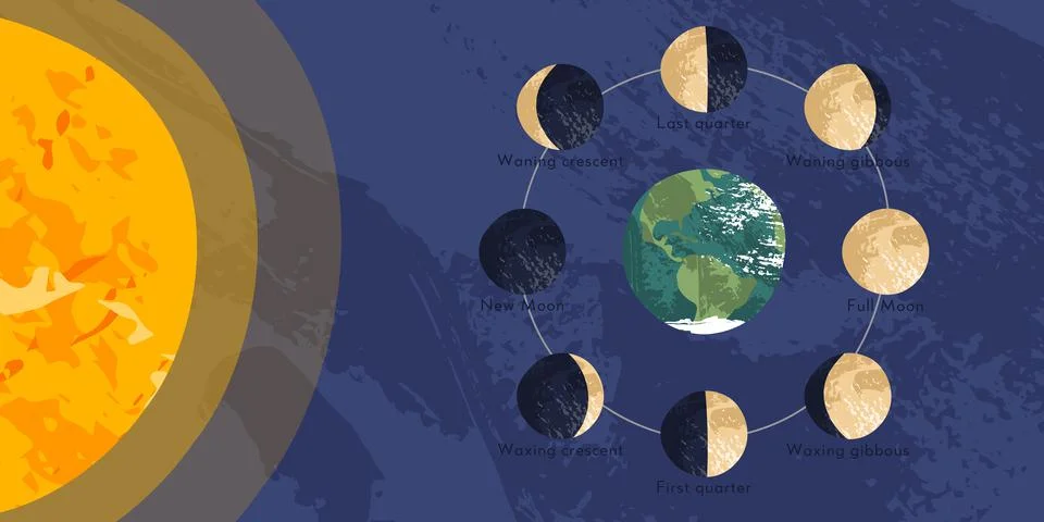 Moon phase, lunar cycle, synodic month. Lunary visible side. New and full moo Stock Illustration