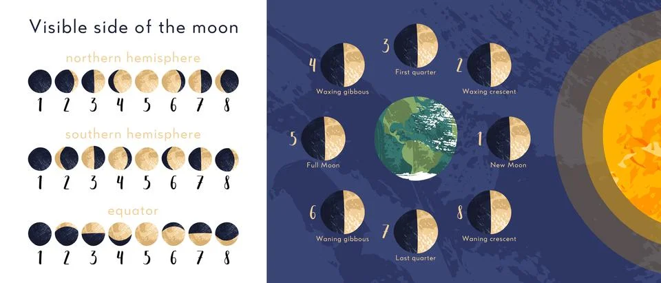 Moon phase, lunar cycle, synodic month. Lunary visible side. New and full moo Stock Illustration