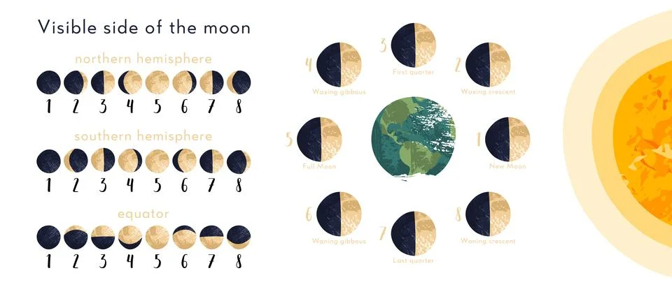 Moon phase, lunar cycle, synodic month. Lunary visible side. New and full moo Stock Illustration