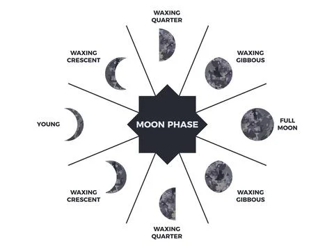 Moon phase. Textured surface of the moon. Lunar phases throughout the cycle.  Illustrazione stock