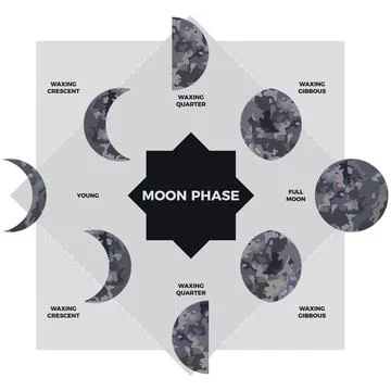Moon phase. Textured surface of the moon. Lunar phases throughout the cycle.  Illustrazione stock