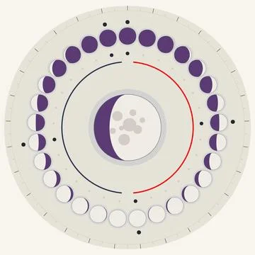 Moon phases circular infographic vector Stock Illustration