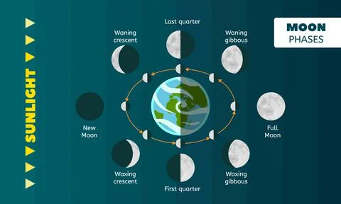 Moon phases concept background, flat style Ilustração Stock