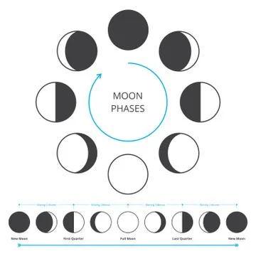 Moon Phases Icons Stock Illustration
