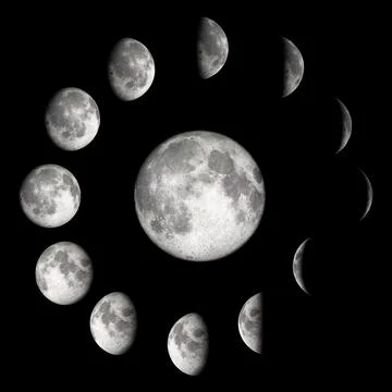 Moon Phases Infographic Ilustração Stock