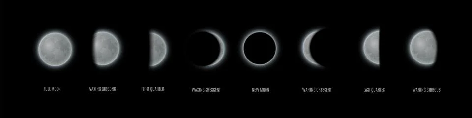 Moon phases sequence, vector realistic waning and waxing gibbous, first and last Stock-Illustration
