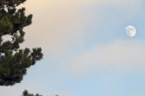 The moon Stock Photos