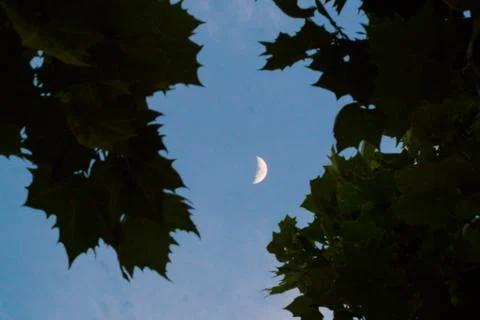Moon Stock Photos