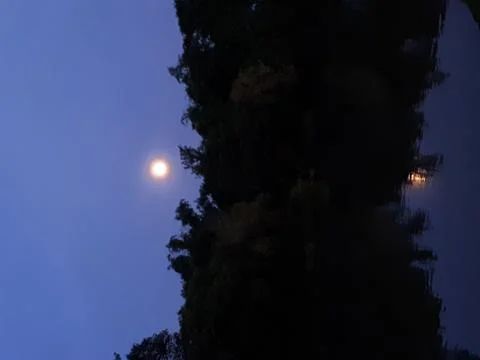 The moon Stock Photos
