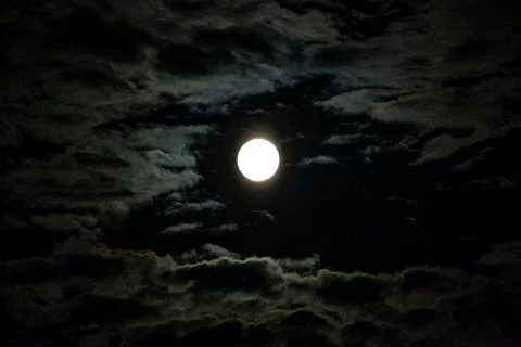 Moon 스톡 사진