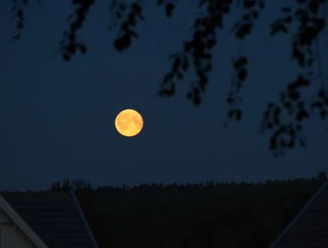 The moon Stock Photos