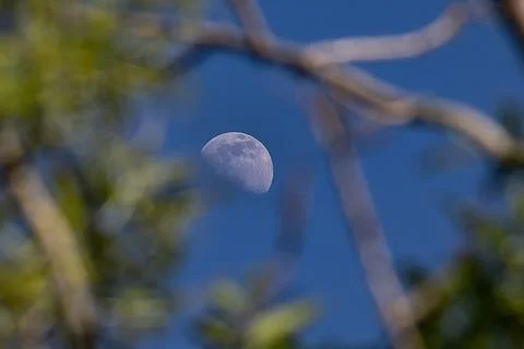 Moon Stock Photos