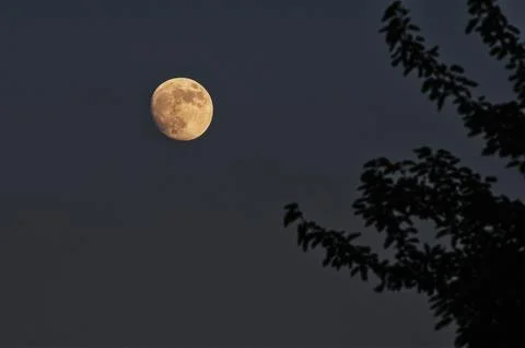 Moon Stock Photos