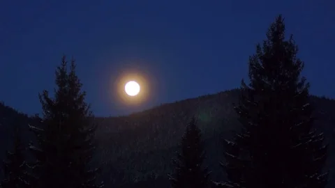 Moon, pines mountains Stock Footage 72715322