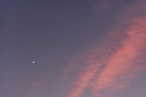 Moon with pink clouds Stock Photos