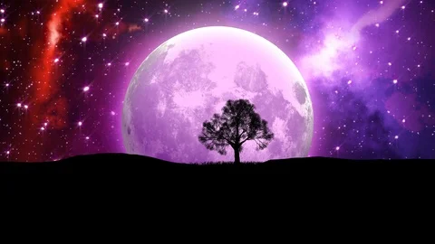 The Moon Planet and Lonely bare tree silhouette on nebula space background. Stock Footage