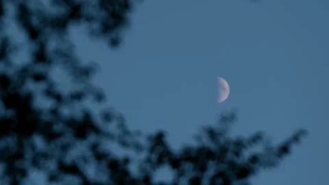 Moon-RackFocus-01-4k Stock Footage 249010379