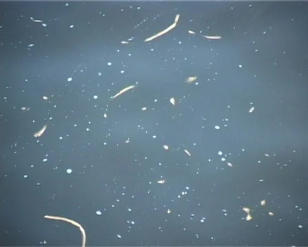 Moon reflection Stock Footage 312205