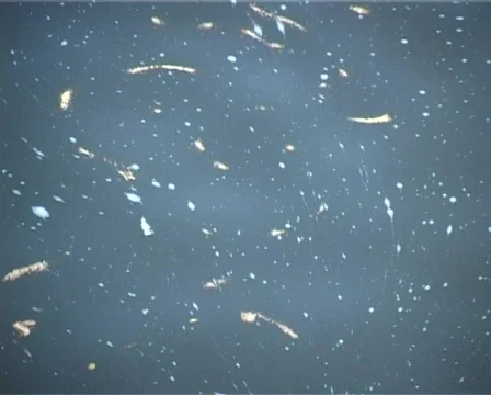 Moon reflection Stock Footage 315136