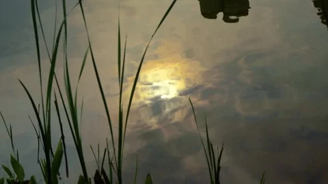 Moon Reflection On Night Water Under Clear Sky 4K Video stock 341862840
