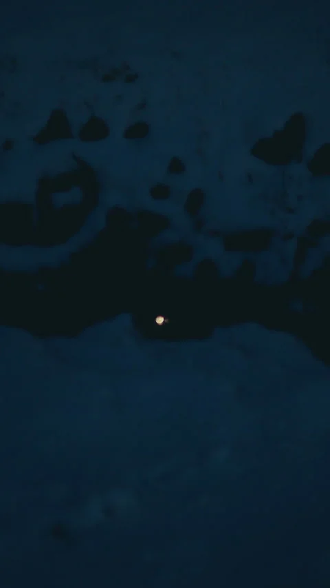 Moon Reflection in the river Video stock 300016324