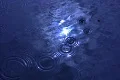 Moon Reflections on Water Surface 4 Water Drops & Ripples Footage