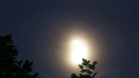 Moon rise 02 (half moon) Timlapse x 125 Stock Footage 137103403