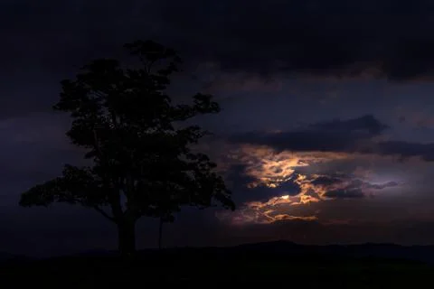 Moon rise abandoned tree on a hill at dark sunset with the rising moon in ful Stock-Fotos