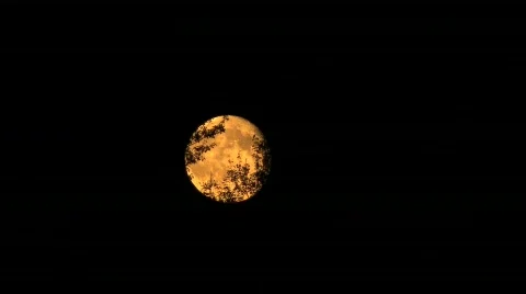 Moon rise collection Video stock 789701