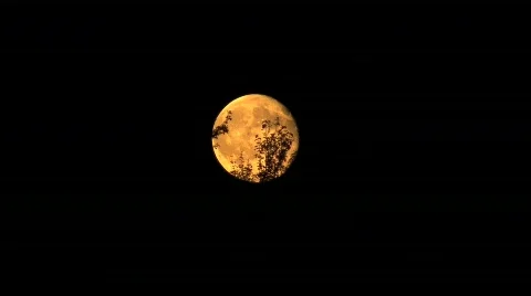 Moon rise.  Stock Footage 791446