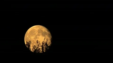 Moon rise Video stock 791450