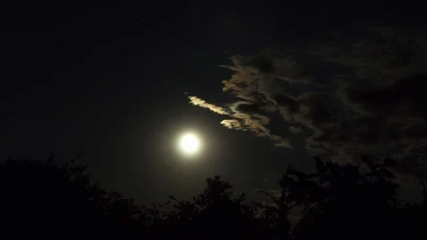 Moon rise over the trees Vídeos de archivo 85638024