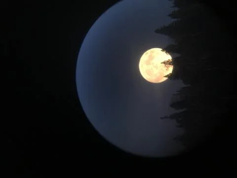 Moon Rise Stock Photos