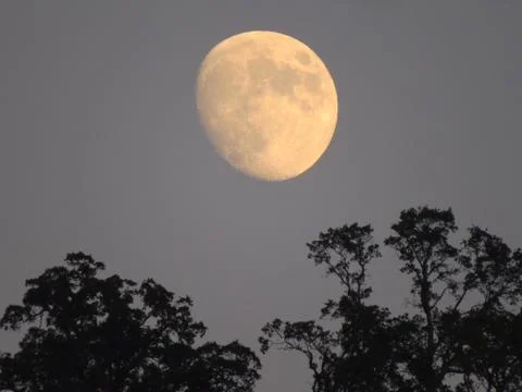 Moon rise Foto stock